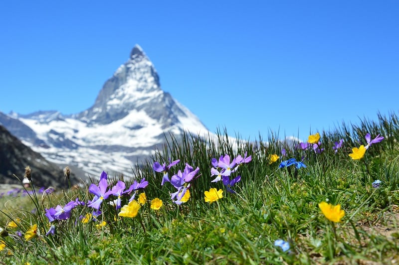Swiss Alps